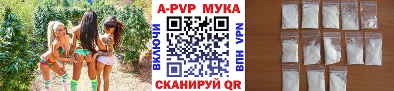 Alpha-PVP СК КРИС  где продают наркотики  Дзержинск 