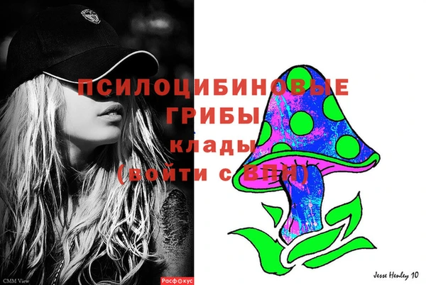 молекула духа Алзамай