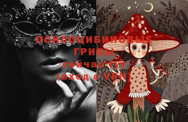 молекула духа Алзамай