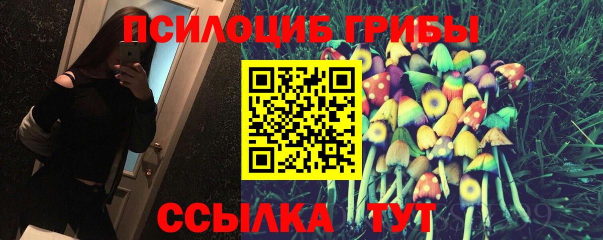 Галлюциногенные грибы Magic Shrooms  Псилоцибиновые грибы Magic Shrooms  наркошоп  Дзержинск  Вход с VPN 