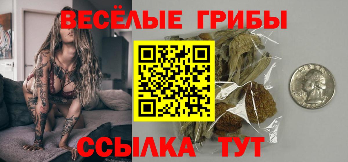 Псилоцибиновые грибы Psilocybe Дзержинск